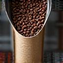 Freshly roasted coffee beans being packaged in bags